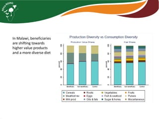 Africa RISING introduction and update 