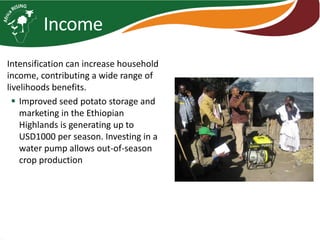 Africa RISING introduction and update 