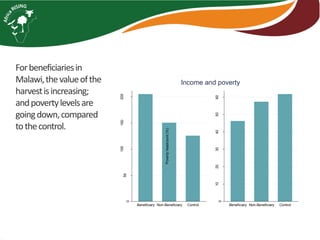Africa RISING introduction and update 