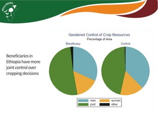 Africa RISING introduction and update 