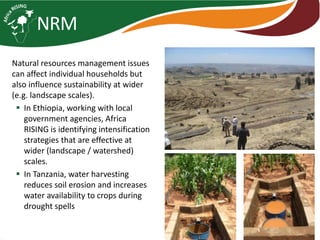 Africa RISING introduction and update 