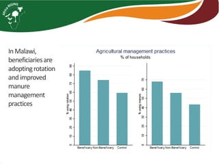 Africa RISING introduction and update 