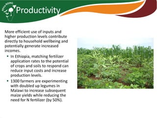 Africa RISING introduction and update 