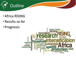 Africa RISING introduction and update 