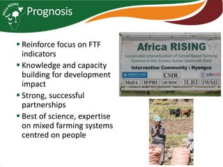 Africa RISING introduction and update 