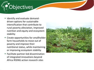 Africa RISING introduction and update 