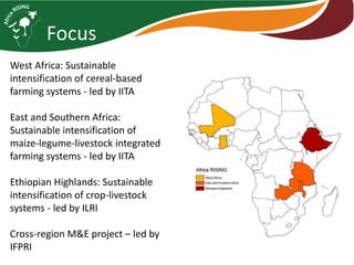 Africa RISING introduction and update 