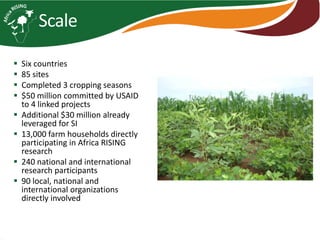 Africa RISING introduction and update 