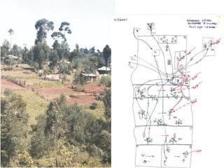 Africa RISING introduction and update 