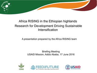 Africa RISING in the Ethiopian highlands
Research for Development Driving Sustainable
Intensification
Briefing Meeting
USAID Mission, Addis Ababa, 17 June 2016
A presentation prepared by the Africa RISING team
 