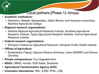  Academic institutions:
 Wachemo, Mekelle, Madawolabu, Debre Berhan and Hawassa universities;
Maichew Agricultural College
 Regional research organizations:
 Amhara Regional Agricultural Research Institute, Southern Agricultural
Research Institute, Tigray Agricultural Research Institute, Oromia Agricultural
Research Institute
 Federal research organizations:
 Ethiopian Institute for Agricultural Research, Ethiopian Public Health Institute
 Offices of Agriculture:
 Endamekoni (Tigray), Basona Worena (Amhara), Lemo (SNNRP) and Sinana
(Oromia)
 Private entrepreneurs: Fuji integrated farm
 NGOs: GRAD, Hundie, SOS Sahel, Sunarma
 Agricultural Transformation Agency (ATA)
 Innovation laboratories: SIIL, ILSSI, PHIL, LSIL
Local partners (Phase 1)- Ethiopia
 