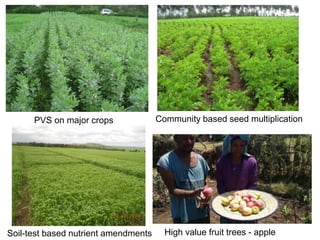 Soil-test based nutrient amendments High value fruit trees - apple
Community based seed multiplicationPVS on major crops
 