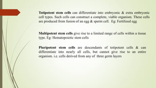 Totipotent stem cells can differentiate into embryonic & extra embryonic
cell types. Such cells can construct a complete, viable organism. These cells
are produced from fusion of an egg & sperm cell. Eg: Fertilized egg
Multipotent stem cells give rise to a limited range of cells within a tissue
type. Eg: Hematopoietic stem cells
Pluripotent stem cells are descendants of totipotent cells & can
differentiate into nearly all cells, but cannot give rise to an entire
organism. i.e. cells derived from any of three germ layers
 