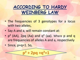 ACCORDING TO HARDY
WEINBERG LAW
• The frequencies of 3 genotypes for a locus
with two alleles,
• Say A and a, will remain constant at:
• p² (AA), 2pq (Aa) and q² (aa). Where p and q
are frequencies of alleles A and a, respectively
• Since, p+q=1. So,
p² + 2pq +q²=1
22
 