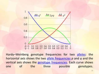 Hardy–Weinberg genotype frequencies for two alleles: the
horizontal axis shows the two allele frequencies p and q and the
vertical axis shows the genotype frequencies. Each curve shows
one of the three possible genotypes.
26
 