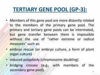 TERTIARY GENE POOL (GP-3):
• Members of this gene pool are more distantly related
to the members of the primary gene pool. The
primary and tertiary gene pools can be intermated,
but gene transfer between them is impossible
without the use of "rather extreme or radical
measures" such as:
• embryo rescue (or embryo culture, a form of plant
organ culture)
• induced polyploidy (chromosome doubling)
• bridging crosses (e.g., with members of the
secondary gene pool). 36
 