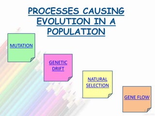 PROCESSES CAUSING
EVOLUTION IN A
POPULATION
NATURAL
SELECTION
GENE FLOW
MUTATION
GENETIC
DRIFT
5
 