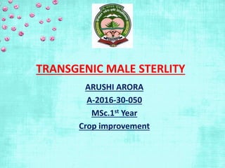 TRANSGENIC MALE STERLITY
ARUSHI ARORA
A-2016-30-050
MSc.1st Year
Crop improvement
 