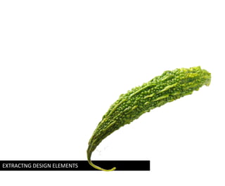 EXTRACTNG DESIGN ELEMENTS

 