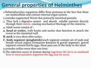General properties of Helminthes
1.Helminthes:thes organisms differ from protozoa in the fact that there
are multicellular and contain internal organ system.
2.cestodes segmented Worm that primarily intestinal parasite.
3. They lack a digestive system and absorb soluble nutrient directly
through their cuticle, causing mechanical blockage of the intestine.
4. Adult worm consist of :
a. head or scolex, with hooks and sucker that function to attach the
worm to the intestinal wall.
B. neck is very short after scolex.
C. body segment (proglottids);each segment contain set of male and
female sexual organs (immature &mature & gravid segment). gravid
segment contain fertile eggs, these pass out of the body in the stool.
5.cestodes utilize more than one host.
6.The infection occur in human during ingestion the larva in mediated
host in most parasites ingestion the egg may be occur.
 