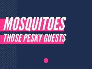 MOSQUITOES
THOSE PESKY GUESTS
 