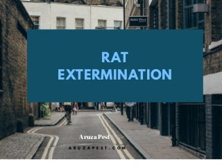 RAT
EXTERMINATION
Aruza Pest
A R U Z A P E S T . C O M
 