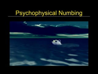 Psychophysical Numbing
 