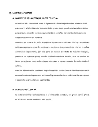 IX. LABORES ESPECIALES
A. MOMENTO DE LA COSECHA Y POST COSECHA
La madurez para consumo en verde se logra con un contenido promedio de humedad en los
granos de 72 a 74%. El tamaño promedio de los granos, luego que alcanza la madurez óptima
para consumo en verde, continúan aumentando de tamaño e incrementando rápidamente
sus reservas amiláceas y proteicas.
Las vainas por su parte, 2 a 3 días después que los granos contenidos en ellas logra su madurez
óptima para consumo en verde, comienzan a mostrar un leve arrugamiento exterior, el cual va
aumentando rápidamente, por otra parte al alcanzar el estado de madurez fisiológica,
presentan un aspecto rugoso y un color predominantemente amarillo claro; las semillas, en
tanto, presentan un color verde grisáceo, con mayor o menor expresión de verdor según el
cultivar.
El estado de madurez de cosecha de las plantas se inicia cuando tanto las vainas del tercio basal
como del tercio medio presentan un color café y sus semillas duras están amarillas y arrugadas
y las semillas se presentan aún algo blandos.
B. PERIODO DE COSECHA
La parte comestible y comercializable es la vaina verde, inmadura, con granos tiernos (Peky).
En ese estado la cosecha se inicia a los 70 días.
 