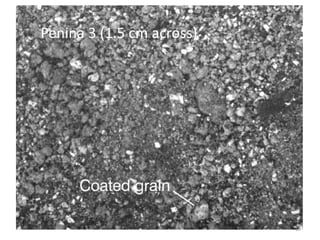 Penina 3 (1.5 cm across)




                           19
 