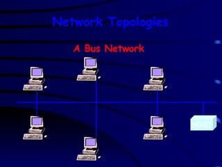 HOST A Bus Network Network Topologies 