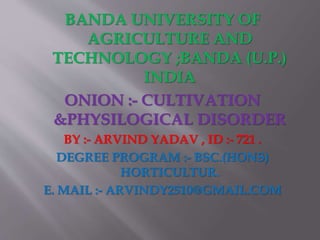 BANDA UNIVERSITY OF
AGRICULTURE AND
TECHNOLOGY ;BANDA (U.P.)
INDIA
ONION :- CULTIVATION
&PHYSILOGICAL DISORDER
BY :- ARVIND YADAV , ID :- 721 .
DEGREE PROGRAM :- BSC.(HONS)
HORTICULTUR.
E. MAIL :- ARVINDY2510@GMAIL.COM
 