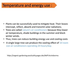 Temperature and energy use :
• Plants can be successfully used to mitigate heat. Their leaves
intercept, reflect, absorb and transmit solar radiations.
• Trees are called nature’s air conditioners because they lower
air temperature, shade buildings in the summer and block
winter winds.
• Thus, trees can reduce building energy use and cooling costs
• A single large tree can produce the cooling effect of 10 room
size air conditioners operating 24 hours/day.
https://organic-gardening-practicality.pages.dev/#aff-Arvindverma
 