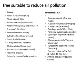 Tree suitable to reduce air pollution:
• Tropics
• Acacia auriculiformis(Auri)
• Albizia lebbeck (Siris)
• Ailanthus excelsa(Heaven tree)
• Alstonia macrophylla(Hard milkwood)
• A. scholaris (Devil tree)
• Azadirachta indica (Neem)
• Butea frondosa(Flame of forest)
• Cassia fistula (Amaltas)
• C. marginat(Cassia Rose tree)
• Madhuca indica(Butter tree)
• Parkinsonia aculeata(Ram babul )
• Polyalthia longifolia
• Putranjiva roxburgi(Lucky bean tree)
Temperate areas
•
• Acer platanoides(Norway
maple)
• A. saccharinum(Silver maple)
• A. negundo (Box elder)
• Betula pendula(Silver birch)
• Forsythia suspense(Golden bell)
• Ligustrum vulgare(Common
privet)
• Platanus orientalis(Oriental
plane tree)
• Pyracantha coccinea(scarlet
firethorn)
• Quercus palustris(Pin Oak)
• Q. rubra (N. Red Oak)
• Robinia pseudocacia(Black
locust)
 