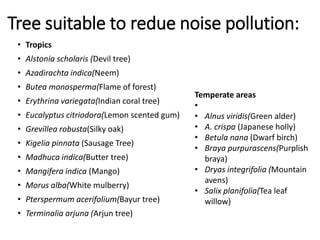Tree suitable to redue noise pollution:
• Tropics
• Alstonia scholaris (Devil tree)
• Azadirachta indica(Neem)
• Butea monosperma(Flame of forest)
• Erythrina variegata(Indian coral tree)
• Eucalyptus citriodora(Lemon scented gum)
• Grevillea robusta(Silky oak)
• Kigelia pinnata (Sausage Tree)
• Madhuca indica(Butter tree)
• Mangifera indica (Mango)
• Morus alba(White mulberry)
• Pterspermum acerifolium(Bayur tree)
• Terminalia arjuna (Arjun tree)
Temperate areas
•
• Alnus viridis(Green alder)
• A. crispa (Japanese holly)
• Betula nana (Dwarf birch)
• Braya purpurascens(Purplish
braya)
• Dryas integrifolia (Mountain
avens)
• Salix planifolia(Tea leaf
willow)
 