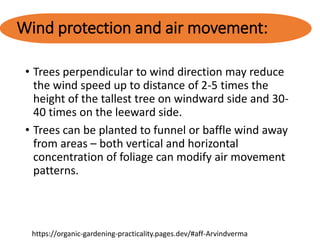 Wind protection and air movement:
• Trees perpendicular to wind direction may reduce
the wind speed up to distance of 2-5 times the
height of the tallest tree on windward side and 30-
40 times on the leeward side.
• Trees can be planted to funnel or baffle wind away
from areas – both vertical and horizontal
concentration of foliage can modify air movement
patterns.
https://organic-gardening-practicality.pages.dev/#aff-Arvindverma
 