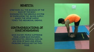 BENEFITS:
STRETCHES ALL THE MUSCLES OF THE
BACK OF THE BODY.
INVIGORATES THE NERVOUS SYSTEM
BY INCREASING THE -BLOOD SUPPLY.
MAKES THE SPINE SUPPLE.
TONES THE ABDOMINAL ORGANS.
CONTRAINDICATIONS OF
(HASTAPADASANA)
BACK INJURY: PEOPLE SUFFERING
FROM LOWER BACK INJURIES,
SPONDYLITIS, CERVICAL PAIN OR
ANY KIND OF BACK AND SPINAL
PROBLEMS SHOULD NOT DO THIS
POSE.
 