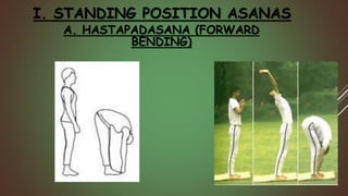 I. STANDING POSITION ASANAS
A. HASTAPADASANA (FORWARD
BENDING)
 