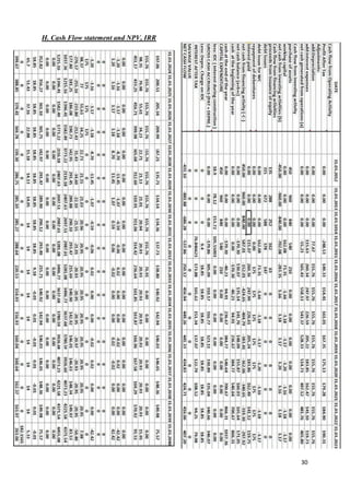 H. Cash Flow statement and NPV, IRR




                                      30
 