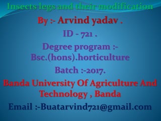 Insects legs and their modification
By :- Arvind yadav .
ID - 721 .
Degree program :-
Bsc.(hons).horticulture
Batch :-2017.
Banda University Of Agriculture And
Technology , Banda
Email :-Buatarvind721@gmail.com
 