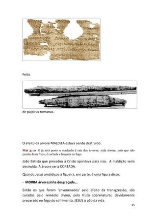 Feito




de paipirus romanus.




O efeito da árvore MALDITA estava sendo destruído.
Mat 3:10 E já está posto o machado á raiz das árvores; toda árvore, pois que não
produz bom fruto, é cortada e lançada no fogo.

João Batista que precedeu a Cristo apontava para isso. A maldição seria
destruída. A árvore seria CORTADA.

Quando Jesus amaldiçoa a figueira, em parte, é uma figura disso.

- MORRA árvorezinha desgraçada...

Então os que foram ‘envenenados’ pelo efeito da transgressão, são
curados pelo remédio divino, pelo fruto sobrenatural, devidamente
preparado no fogo do sofrimento, JESUS o pão da vida.
                                                                             45
 