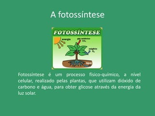 A fotossíntese
Fotossíntese é um processo físico-químico, a nível
celular, realizado pelas plantas, que utilizam dióxido de
carbono e água, para obter glicose através da energia da
luz solar.
 