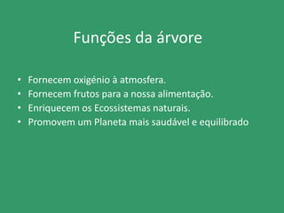 Funções da árvore
• Fornecem oxigénio à atmosfera.
• Fornecem frutos para a nossa alimentação.
• Enriquecem os Ecossistemas naturais.
• Promovem um Planeta mais saudável e equilibrado
 