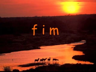 f i m 