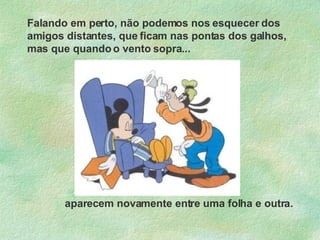 Falando em perto, não podemos nos esquecer dos amigos distantes, que ficam nas pontas dos galhos, mas que quando o vento sopra... aparecem novamente entre uma folha e outra. 