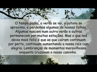 O tempo passa, o verão se vai, o outono se aproxima, e perdemos algumas de nossas folhas. Algumas nascem num outro verão e outras permanecem por muitas estações. Mas o que nos deixa mais feliz é que as que caíram continuam por perto, continuam aumentando a nossa raiz com alegria. Lembranças de momentos maravilhosos enquanto cruzavam o nosso caminho.  