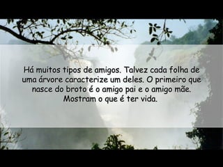 Há muitos tipos de amigos. Talvez cada folha de uma árvore caracterize um deles. O primeiro que nasce do broto é o amigo pai e o amigo mãe. Mostram o que é ter vida.  