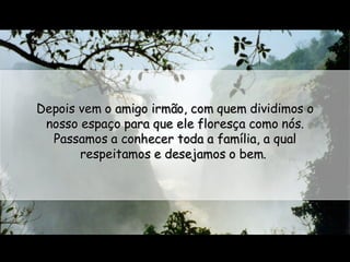 Depois vem o amigo irmão, com quem dividimos o nosso espaço para que ele floresça como nós. Passamos a conhecer toda a família, a qual respeitamos e desejamos o bem.  