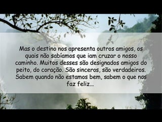 Mas o destino nos apresenta outros amigos, os quais não sabíamos que iam cruzar o nosso caminho. Muitos desses são designados amigos do peito, do coração. São sinceros, são verdadeiros. Sabem quando não estamos bem, sabem o que nos faz feliz...  