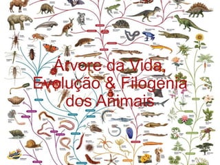 Árvore da Vida,
Evolução & Filogenia
dos Animais
 