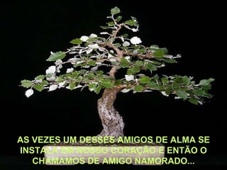AS VEZES UM DESSES AMIGOS DE ALMA SE INSTALA EM NOSSO CORAÇÃO E ENTÃO O CHAMAMOS DE AMIGO NAMORADO... 